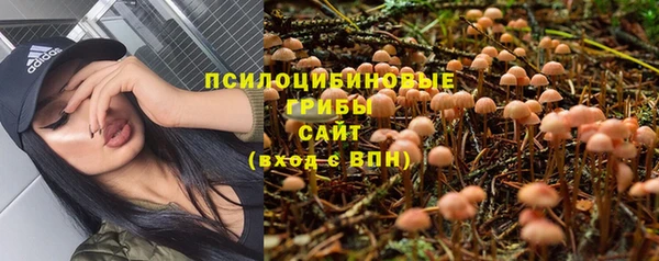 альфа пвп Осинники