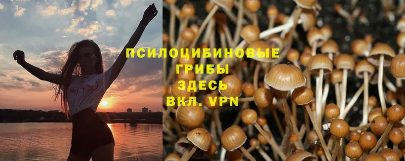 Галлюциногенные грибы Magic Shrooms  Ленск 