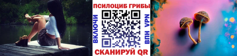 Псилоцибиновые грибы Magic Shrooms  Ленск 